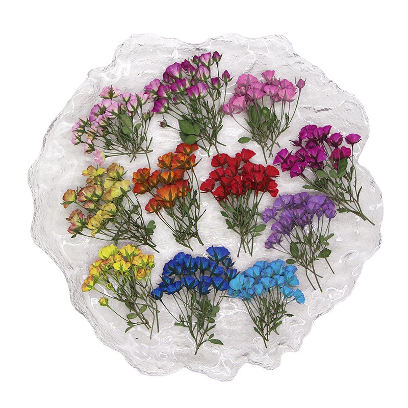 PMurcia-Bourgeons de roses teh - Dried Flower Bookmark avis et prix